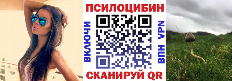Купить  Карачаевск  Галлюциногенные грибы ЛСД 